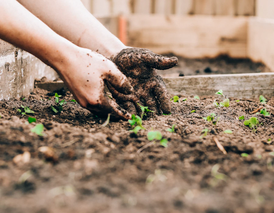 Landscaping — dynamik.app
